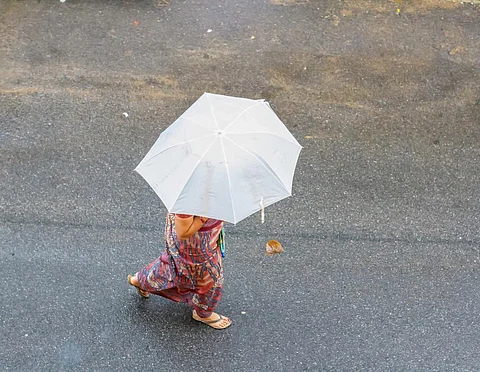 Photo: iStock