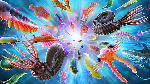 The Cambrian explosion, about 530 million years ago, was when most of the major groups of animals first appear in the fossil record. Photo: canbedone/Shutterstock