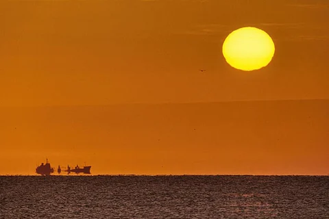 The researchers looked into observed basin-wide warming of the ocean and an increase in marine heatwaves. Photo: iStock