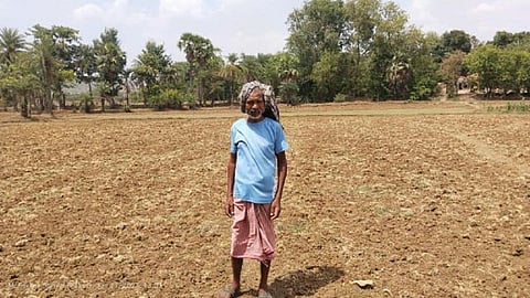 झारखंड के पाकुड़ जिले में इतनी भी बारिश नहीं हुई कि खेत गीले हो सकें। फोटो: आनंद दत्त