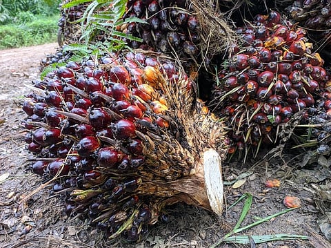 Representative photo: iStock