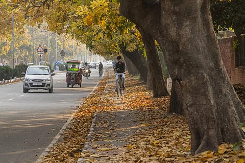 Photo: iStock