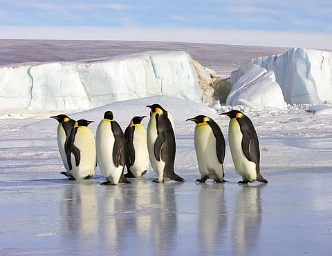 Ozone Day 2023: Why the South Pole has set alarm bells ringing this year