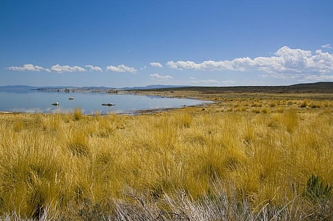 Representative photo: istock
