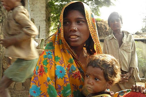 फोटो साभार : सीएसई