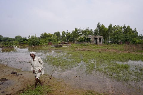 हरियाणा के कई जिलों में बाढ़ के कारण फसल बर्बाद हो गई। फोटो: ऐश्वर्या