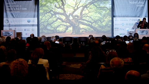 High-level event, Nature and People: From Ambition to Action, underway on September 19, 2023. Photo: United Nations