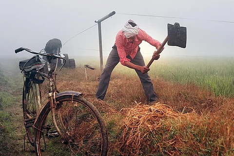 सिंचाई के लिए खेतों को साफ करता किसान; फोटो: आईस्टॉक