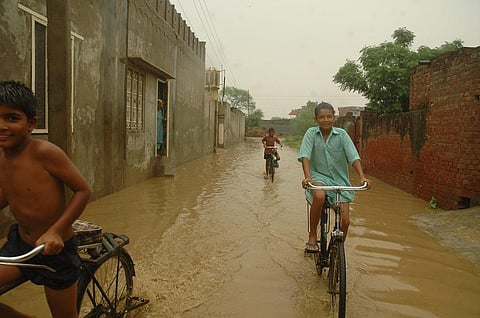 फोटो- सीएसई