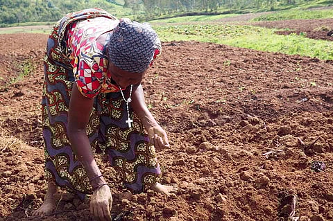 Representative photo: iStock