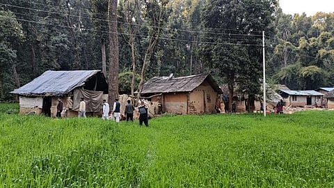 Van Gujjars constitute one of the major pastoral tribes of Himachal Pradesh and account for 23.6 per cent of the total Schedule Tribe population of the state. Photo: Prakash Bhandari