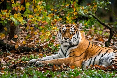 Representative photo: iStock