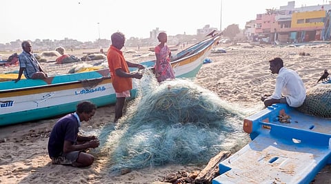 Representative photo from iStock