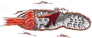 Investigation: Indian voluntary carbon market may not benefit people, climate