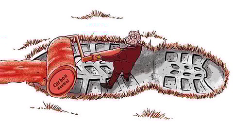 सीएसई-डीटीई रिपोर्ट में खुलासा, स्वैच्छिक कार्बन बाजार से आमजन को लाभ नहीं