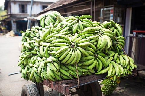 The corporate rush to reduce the environmental footprint of their food supply chains poses several challenges for farmers. Photo: iStock