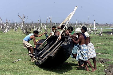 Aftermath of the 1999 Super Cyclone in Odisha. Photo: Author provided