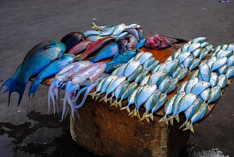 Photo: iStock