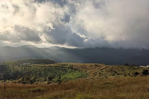 फोटो साभार: विकिमीडिया कॉमन्स