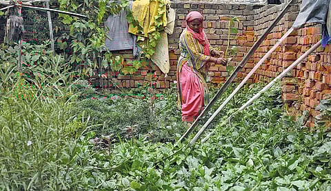 Mufiza, a waste picker and resident of the Murga Mandi slum area, added to her income this summer by selling homegrown Malabar spinach (Photograph: Vikas Choudhary)