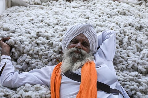 A cotton farmer in Agricultural Produce Market Committee in Hanumangarh waiting to auction his wares. Photo: Vikas Choudhary / CSE