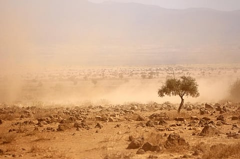 Photo: iStock