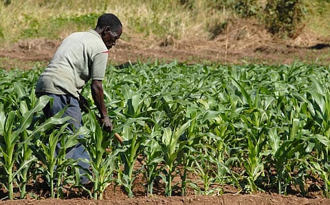 Representational photo from iStock