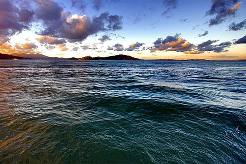 फोटो साभार: विकिमीडिया कॉमन्स, टोनी वेबस्टर