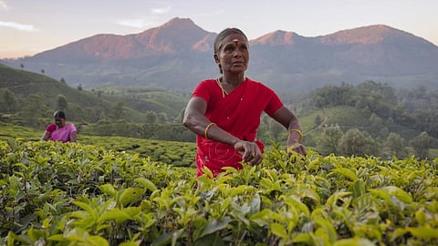 Photo for representation: iStock