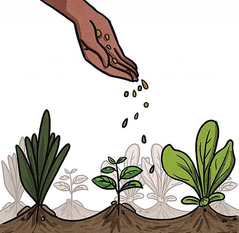 Illustration: Yogendra Anand / CSE