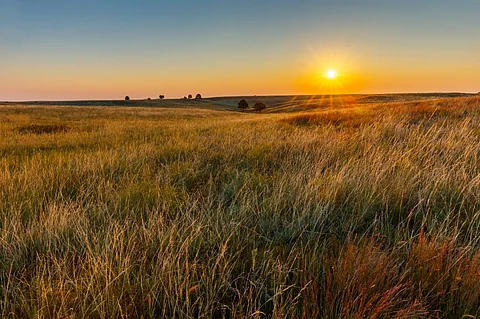 Agricultural expansion has often resulted in unintended consequences, like the significant and ongoing plough-up and destruction of the Great Plains. Photo: iStock