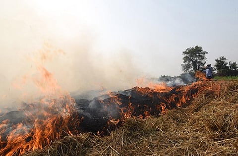 हरियाणा व पंजाब में पराली जलाने की घटना बढ़ रही हैं। फाइल फोटो: विकास चौधरी