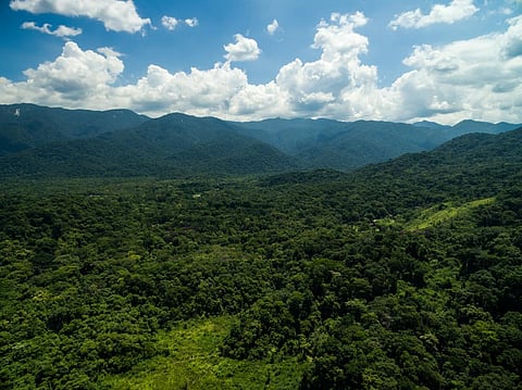 Photo: iStock