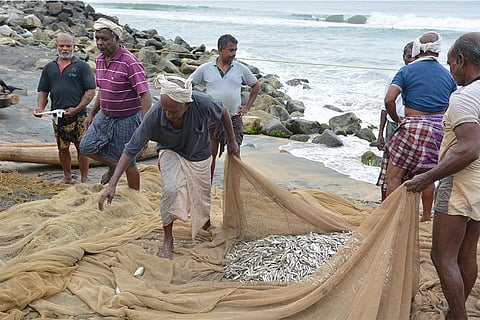 गोवा में समुद्र से पारम्परिक तरीके से मछली पकड़ते मछुआरे; फोटो: आईस्टॉक