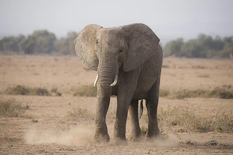 Photo: iStock