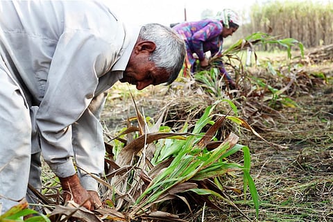 बढ़ते तापमान का ही प्रभाव है कि अक्टूबर के दौरान सर्दियों का असर सामने नहीं आया; फोटो: आईस्टॉक