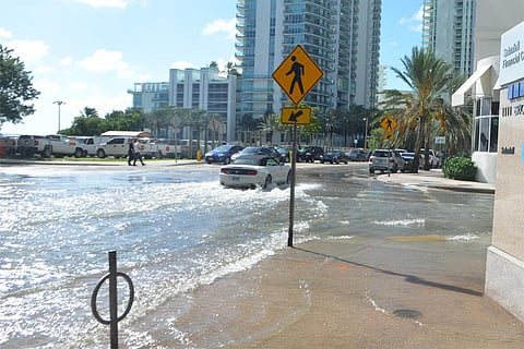 फोटो : विकिमीडिया कॉमन्स, बी 137