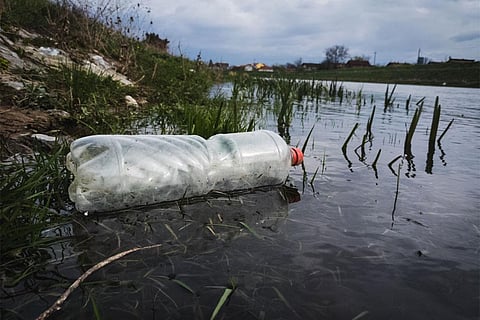 फोटो : विकिमीडिया कॉमन्स, इवान रैडिक