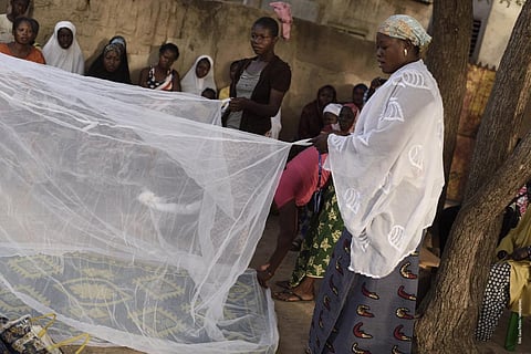 Drug resistance against malaria and other diseases is a growing problem. Photo: iStock