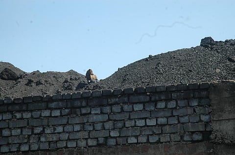 Photo for representation: CSE