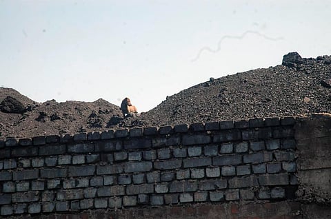 प्रतीकात्मक तस्वीर; सीएसई