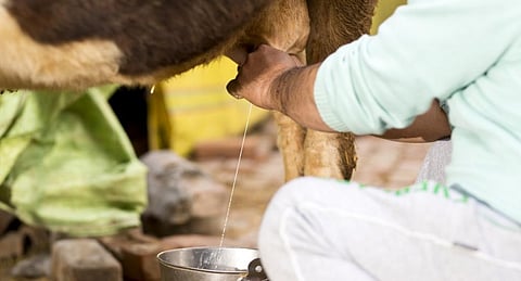 Representational Photo from iStock