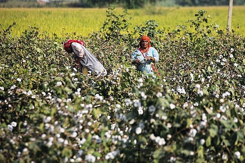 फाइल फोटो: सीएसई