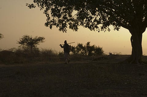 File photo: CSE