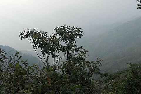 आज का मौसम: उत्तर भारत में कोहरा, छत्तीसगढ़, ओडिशा, विदर्भ, आंध्र प्रदेश व तेलंगाना में भारी बारिश