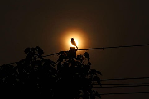 फोटो साभार:आईस्टॉक