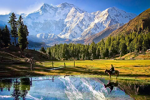 देश के अधिकतर हिस्सों में मौसम रहेगा शुष्क, अगले कुछ दिनों तक कोहरे से निजात नहीं