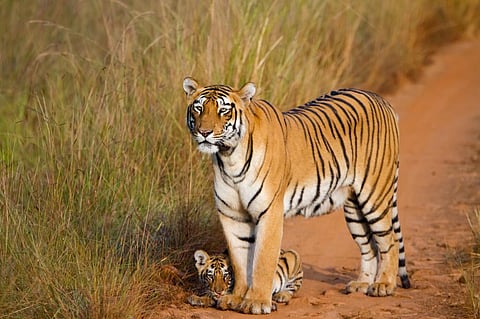 Photo: iStock