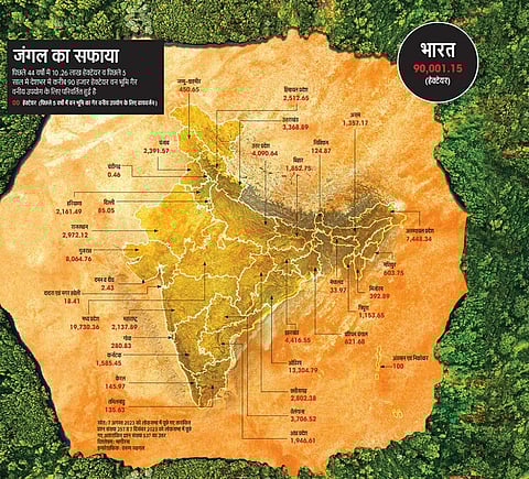 44 वर्षों में 10.26 लाख हेक्टेयर जंगल साफ