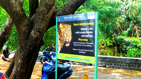 A signage warning tourists and visitors at SGNP to stay off the roads after 6 pm. Photo: Gajanan Khergamker